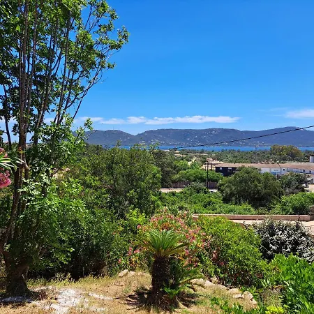Les Asphodèles, Piscine , Vue Et Montagne Porto-Vecchio (Corsica)